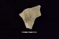 藏品(陶片)的圖片